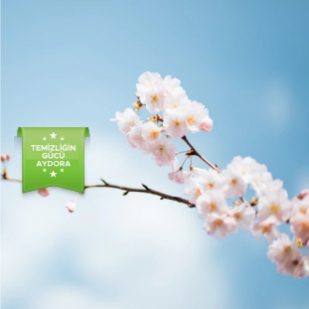 Services Images